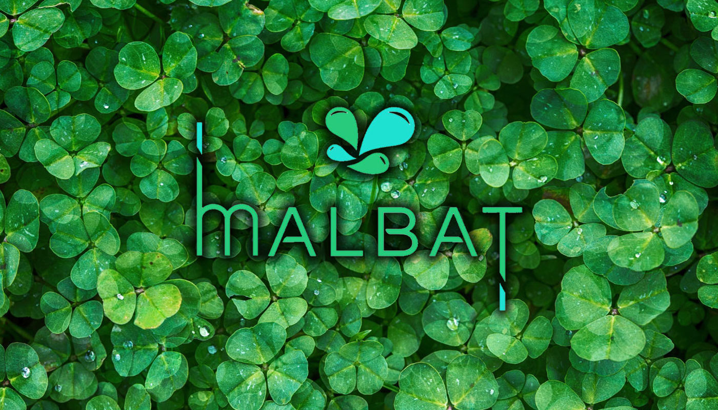 malbat-logo-banner