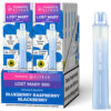 lost-mary-800-blueberry-raspberry-blackberry-gebinde