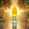 Randm Liquid 20mg Mango-Yuzu-Sorbet